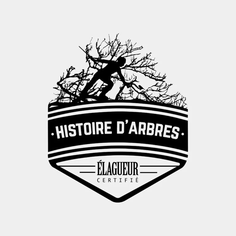 Histoire d’arbres