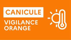 Image for Avis de vigilance orange canicule