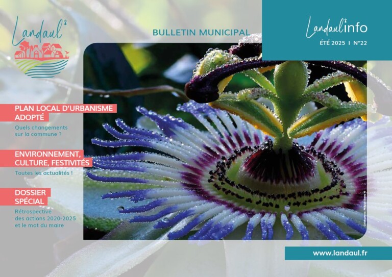 Image for Bulletin municipal